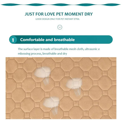 Reusable Dog Pee Pad Blanket