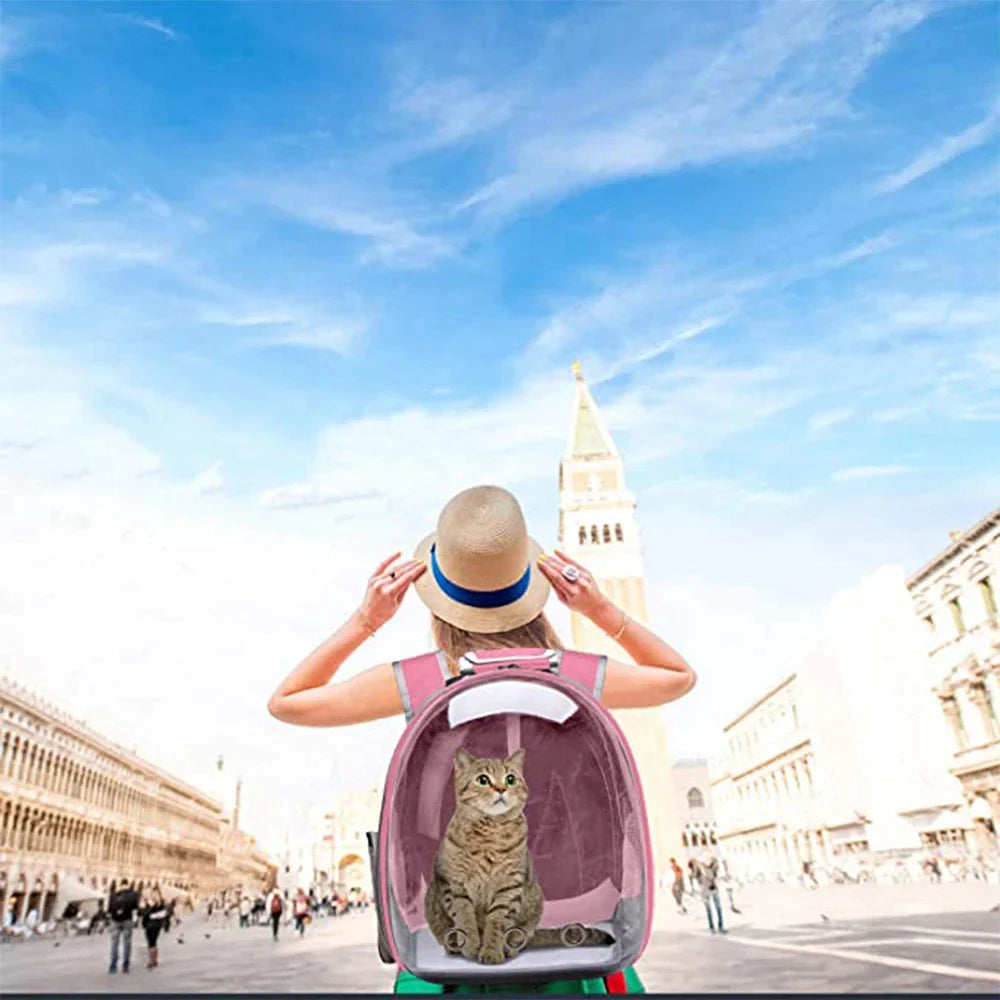 Transparent Bubble Pet Carrier Backpack
