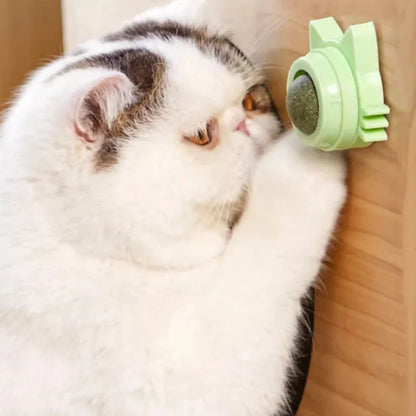 Catnip Lollipop Treat