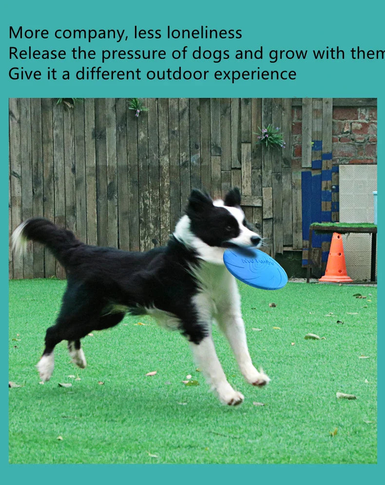 Durable Silicone Dog Flying Disc 🐶🛸