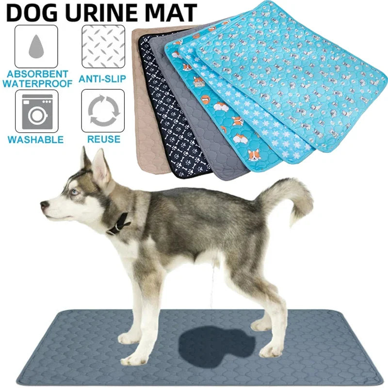 Reusable Dog Pee Pad Blanket