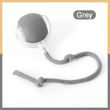 Speedy Tail 2.0 Cat Toy