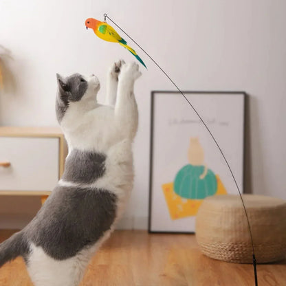 Interactive Peacock Cat Toy