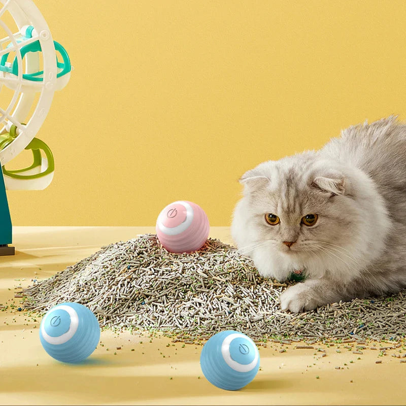 Interactive Cat Ball