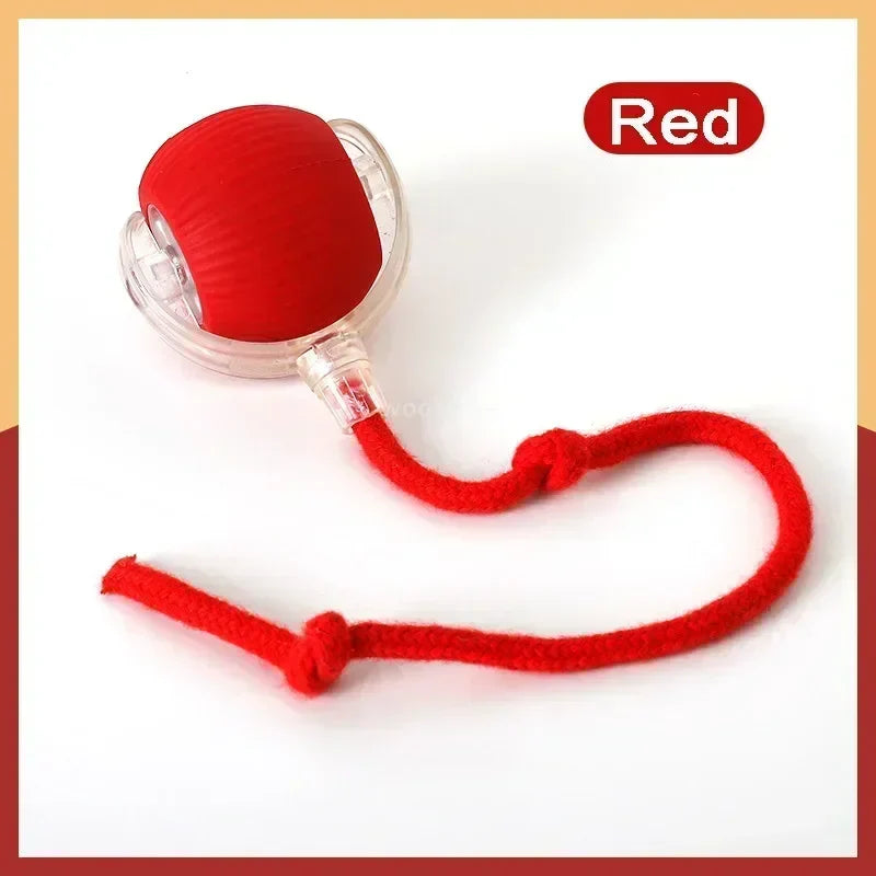 Speedy Tail 2.0 Cat Toy