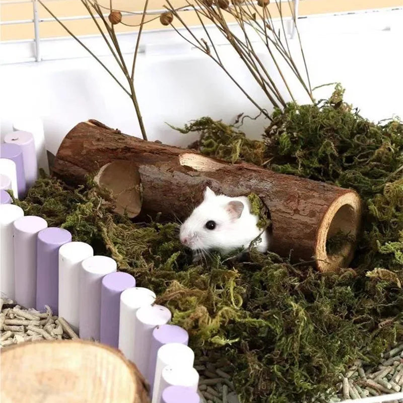 Hamster & Rabbit Teeth Grinding Toy