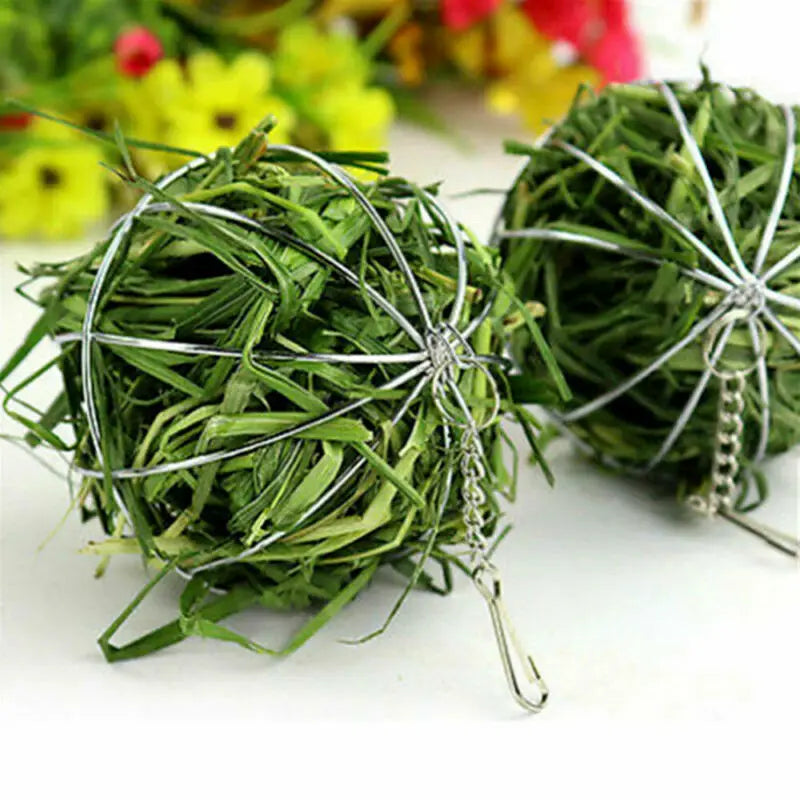 Rabbit & Guinea Pig Hay Feeder Ball