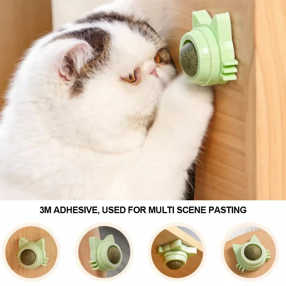 Catnip Lollipop Treat