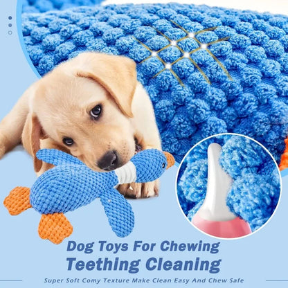 🦴 Indestructible Chew Toy