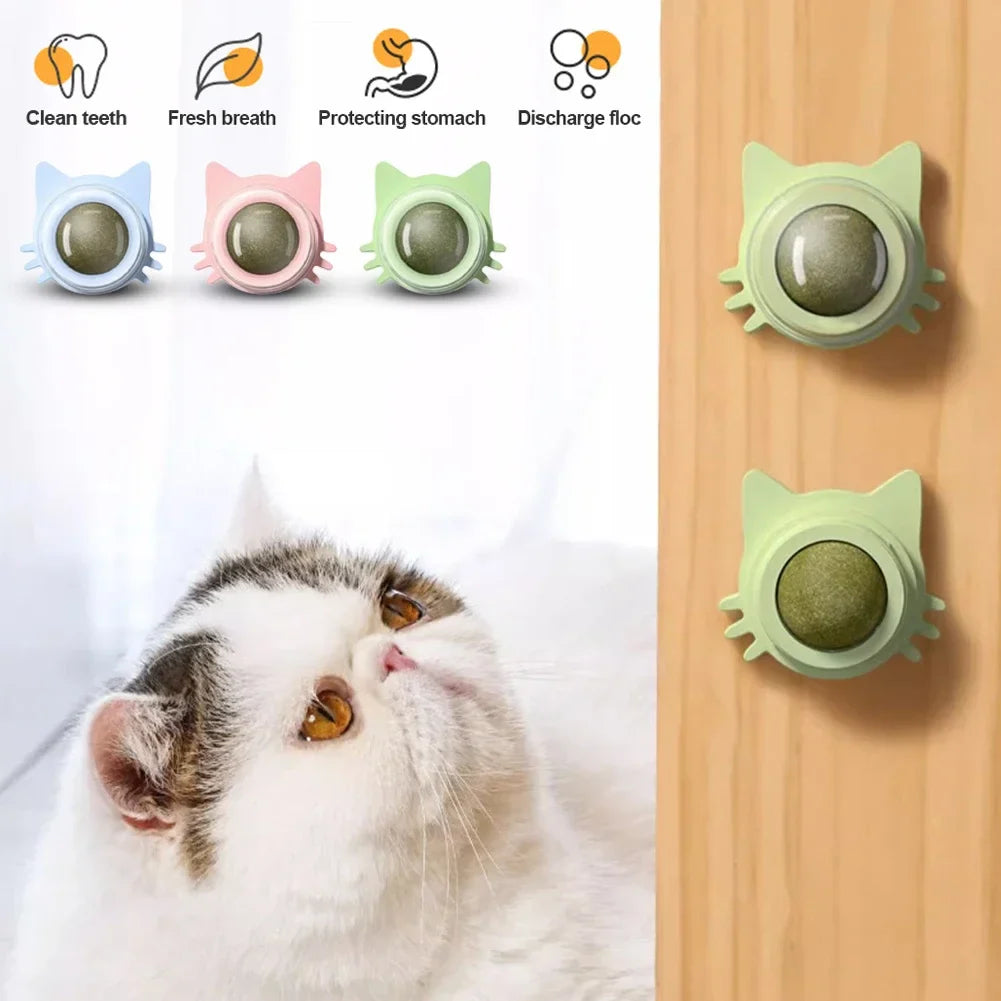 Catnip Lollipop Treat