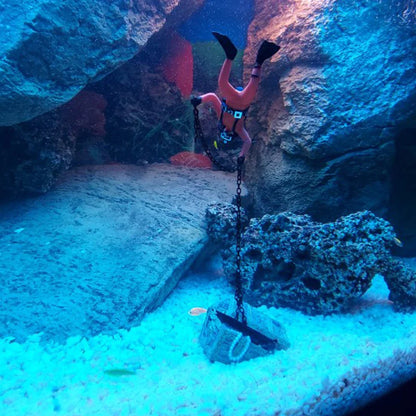 Diver Treasure Chest Aquarium Ornament