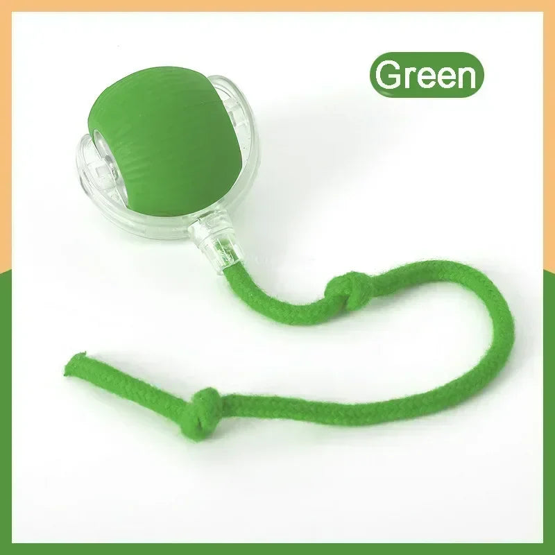 Speedy Tail 2.0 Cat Toy
