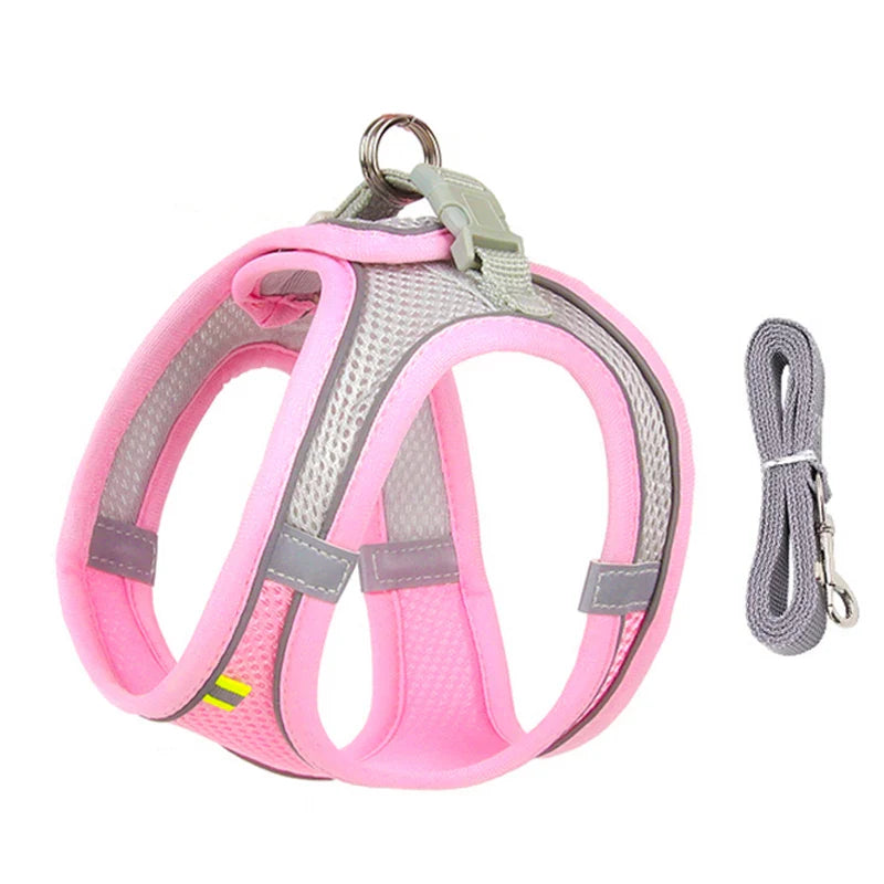 Adjustable Dog Harness & Leash Set