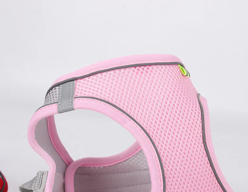 Adjustable Dog Harness & Leash Set