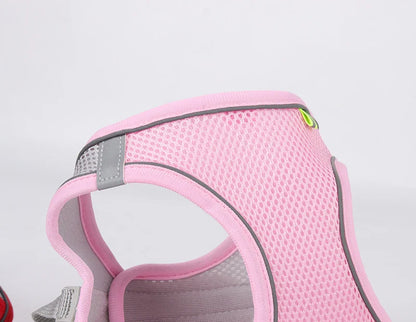 Adjustable Dog Harness & Leash Set