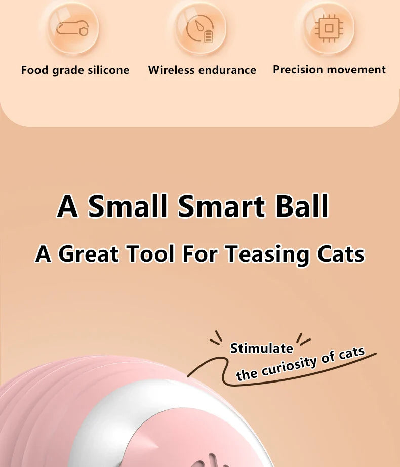 Interactive Cat Ball