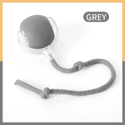 Automatic Rolling Cat Toy
