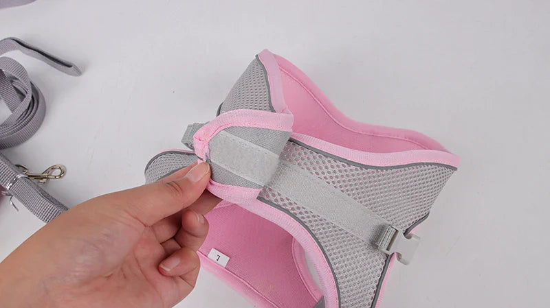 Adjustable Dog Harness & Leash Set
