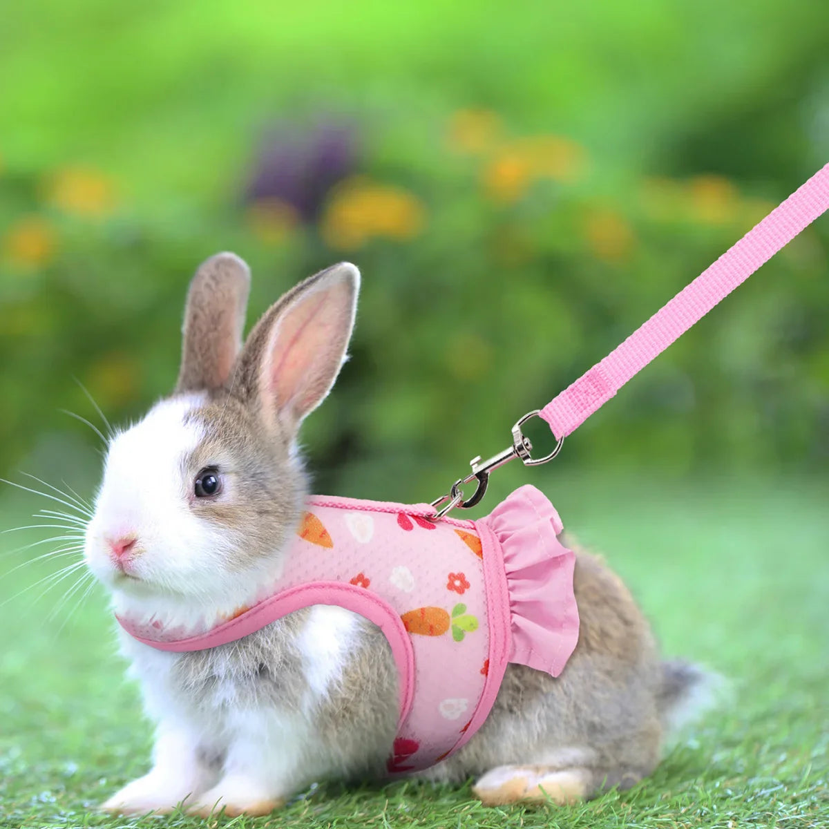 Rabbit Harness & Lead Set – Radish Print