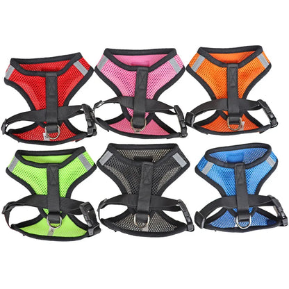 Adjustable Mesh Pet Harness & Lead