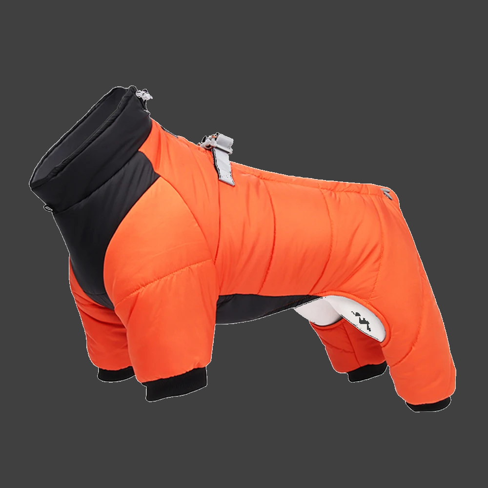 ❄️🐕 Winter Dog Jacket – Warm & Waterproof